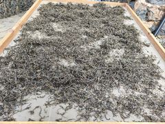 -乌石村