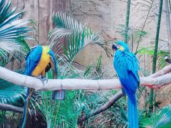 -杭州开元森泊度假乐园