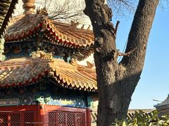 -贤良祠