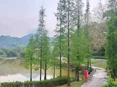 -国恩寺