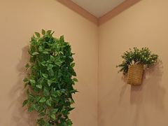 -嘉和一品粥(魏公村店)