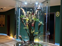 -泰悠谷养生SPA(世茂商业街店)