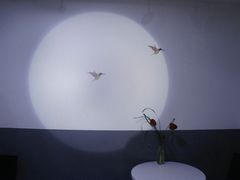 -美丽心情蛋糕(江苏路店)