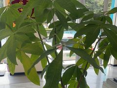 -德元·美联众合24小时动物医院(总院)