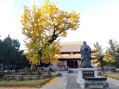 -苏州文庙(姑苏区)