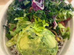 -油梨树 AVOCADO TREE(亮马桥店)