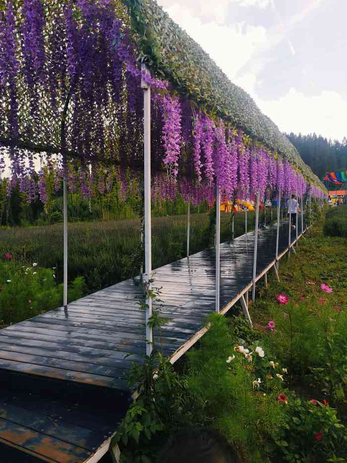 昆明自然乐游乐园-"超级无语在坡下告之车只能停在下边停车场好.