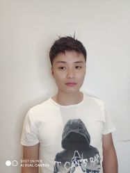 -YESIDO椰岛造型