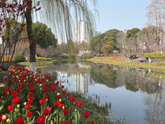 -圩墩遗址公园
