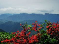 -永州阳明山国家森林公园