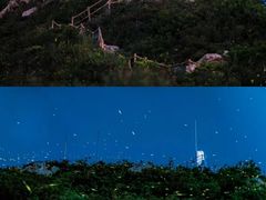 -西涌国际滨海旅游区