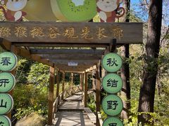 -大岭沟猕猴桃谷风景区