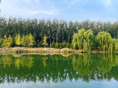 -马家湾湿地公园