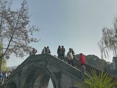 -鲁镇