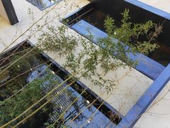 -胡马八破·川菜小馆(高新万达店)