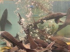 -贺庄·活鱼馆(珠吉路店)
