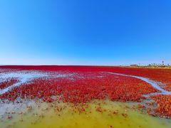 -红海滩国家风景廊道