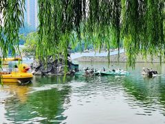 -团结湖公园