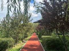 -永定河休闲森林公园