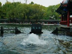 -百脉泉景区