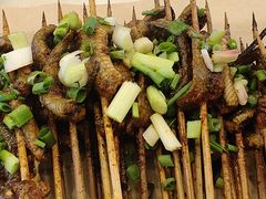 鳝鱼-晓靖轩烧烤(沙河风情店)