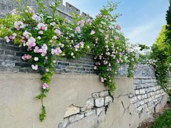 -青州古城