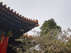 -东华门大街小区