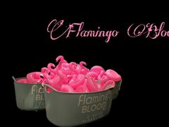 -Flamingo Bloom(TST /尖沙咀店)