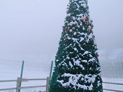 -太子岭滑雪场