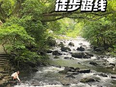 -广州市石门国家森林公园