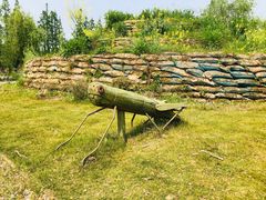 -前小桔亲子创意农场·草莓采摘·露营烧烤