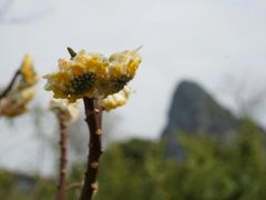 -南溪山景区