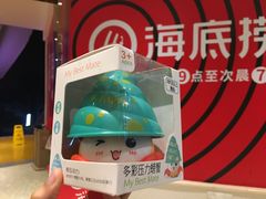 -海底捞火锅(奥体南路店)