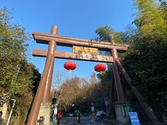 -龙井村