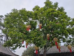 -荣国府