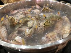 -春华海鲜城(广场西苑店)