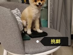 -达爱动物医院·犬猫分区·CT·复杂眼科(远洋山水分院)