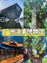 -广州市儿童公园