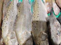 -木柴豆腐·活海鲜·鲁菜