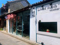 -喵屿·大理花园猫咖