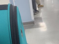 -中国农业大学动物医院