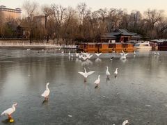 -迎泽公园
