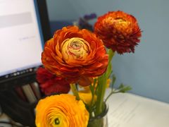 -双季花艺园艺市场(浦东店)