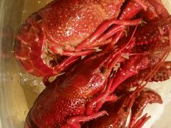 android_upload_pic-扬州狮子楼·非遗淮扬菜(总店)