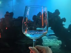 -海棠湾洲际-涛·海底餐厅·美人鱼·自助餐·海底隧道