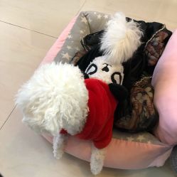 -肌理言健康美肌驻颜所