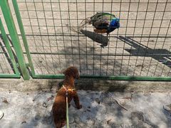 -黄牛肉馆·皖南土菜