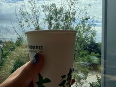 -了不起的考拉咖啡店(高新店)