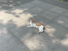 -晓港公园