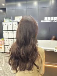-藤野造型烫染
